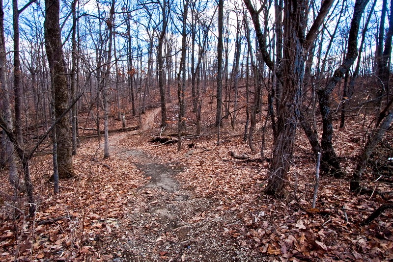 Bernheim Forrst hiking